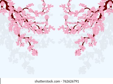 Sakura is stylized. Curved branches of a cherry tree with pink flowers and cherry buds and their shadows. vector illustrator isolated