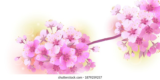Sakura is a symbol of love on a white background. Blooming branch of Japanese cherry. Design for any purpose. Realistic illustration. A romantic concept for a mother's day gift. Retro style.