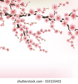 Sakura template. Background with blossom cherry tree branches. Japanese flowers on blur background. EPS 10 vector file included