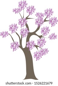 Sakura tre, White isolated - Vector