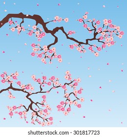 sakura tree