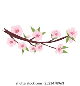 Sakura tree branch in flat design. Pink cherry blossoms and bud on twig. Vector illustration isolated.