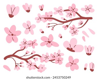 Rama del árbol de Sakura y conjunto de flores. Composición floral. Colección de Elementos simples de cerezo japonés en flor aislado sobre fondo blanco. Vector plano dibujado a mano ilustración.