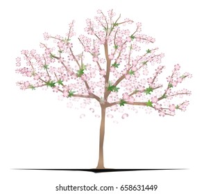 Sakura Tree - A Cherry Blossom
