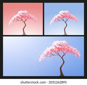 Sakura tree. Cherry blossom tree. Vector illustration. 