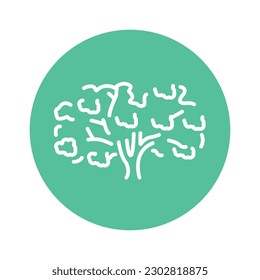 Sakura tree color line icon. Pictogram for web page, mobile app, promo.