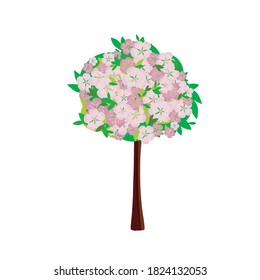 Sakura tree flat design. Blooming plant pink flower, green leaves art design stock vector illustration for web, for print, for fabric print