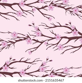 Sakura tree and sakura flowers. Sakura flower blooming on the branches. pink background