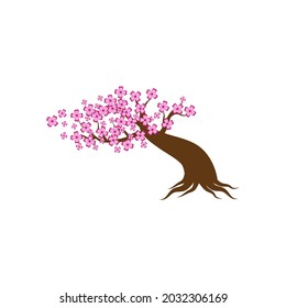 Sakura tree icon design template illustration