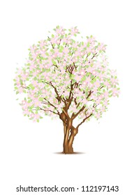 Sakura tree isolated on white, vector illustration, eps10, 3 layers, easy editable