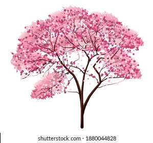 Sakura Tree Isolated On White Background Stock Vector (Royalty Free ...