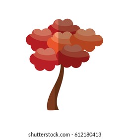 sakura tree japanese flora image