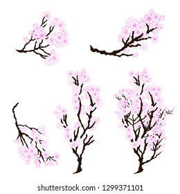 Sakura tree set isolate vector.Peach flower and cherry blossom set.Japanese cherry blossom set.