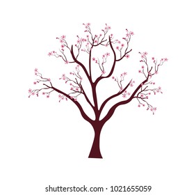 Sakura tree with twigs cherry blossoms. Pink cherry flower blossom branch, peach bloom, sakura branch. Blooming Asian nature. Spring concept. Flat vector illustration. Isolated on white background.