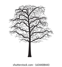 
Sakura tree without flowers. Black vector silhouette on a white background.
