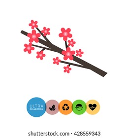 Sakura Twig Icon