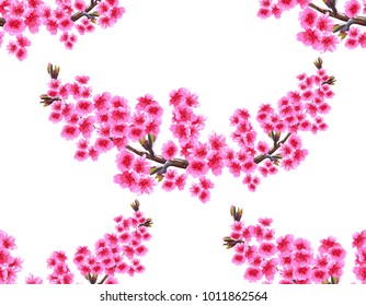Sakura. Two branches with delicate lush purple flowers and cherry buds. Seamless without mesh and gradient. vector illustration