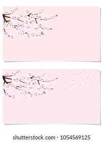 Sakura. Two postcards, Flyers, invitations. A branch of cherry with white flowers in the wind loses petals. Isolated on a pink background. Vector illustration