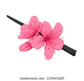 Sakura vector with 2 color tones pink and black isolated on white background