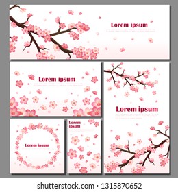 Sakura vector blossom cherry greeting cards with spring pink blooming flowers