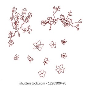 Sakura vector and cherry blossom for sticker and tattoo style.
