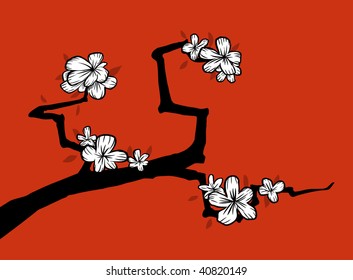 Sakura. Vector illustration.