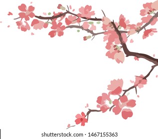 Sakura  vector postcard Cherry Blossom Background Flowers