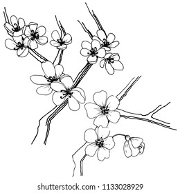 Sakura in a vector style isolated. Full name of the plant: sakura. Vector flower for background, texture, wrapper pattern, frame or border.