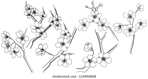Sakura in a vector style isolated. Full name of the plant: sakura. Vector flower for background, texture, wrapper pattern, frame or border.