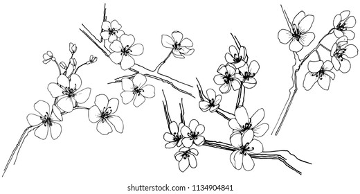 Sakura in a vector style isolated. Full name of the plant: sakura. Vector flower for background, texture, wrapper pattern, frame or border.