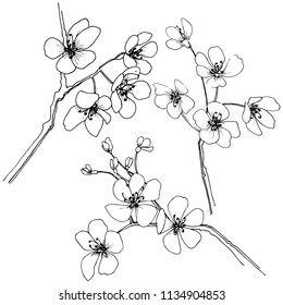 Sakura in a vector style isolated. Full name of the plant: sakura. Vector flower for background, texture, wrapper pattern, frame or border.