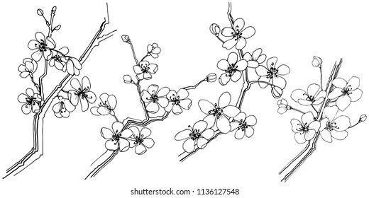 Sakura in a vector style isolated. Full name of the plant: sakura. Vector flower for background, texture, wrapper pattern, frame or border.