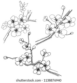 Sakura in a vector style isolated. Full name of the plant: sakura. Vector flower for background, texture, wrapper pattern, frame or border.