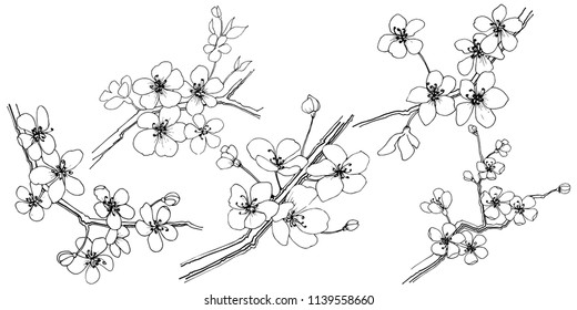 Sakura in a vector style isolated. Full name of the plant: sakura. Vector flower for background, texture, wrapper pattern, frame or border.