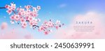 Sakura wallpaper or web banner design template. Vector illustration of realistic blossoming sakura flowers on blue sky background. Vector illustration