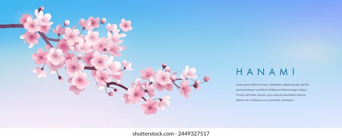 Sakura wallpaper or web banner design template. Vector illustration of realistic blossoming sakura flowers on blue sky background. Vector illustration