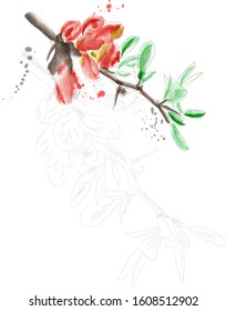 Sakura in watercolor technique. Vector illustration