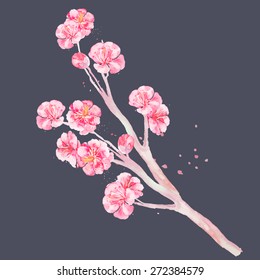 Sakura watercolor vector.Isolated objects.A branch of flowering Sakura.