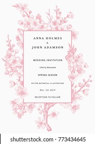 Sakura. Wedding invitation. Pink cherry blossom branch. Vector botanical illustration. 