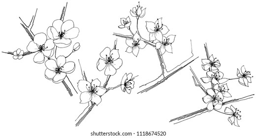 Sakura wildflower in a vector style isolated. Full name of the plant: sakura. Vector flower for background, texture, wrapper pattern, frame or border.
