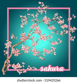 Sakura_01