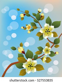 Sakura.Evening in the garden blooming cherry.Vector EPS 10