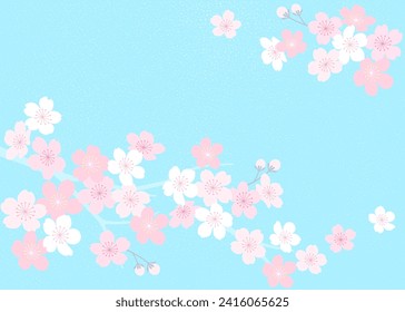 Sakuras on blue background. Sakura is the symbol of spring in Japan.