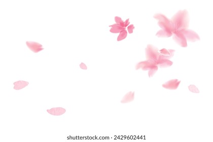 sakura,Watercolor illustration of cherry blossoms Fluffy gentle hand-drawn style illustration