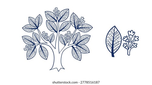 sal tree hand drawn vector ink traditional oriental asian Indian design isolated