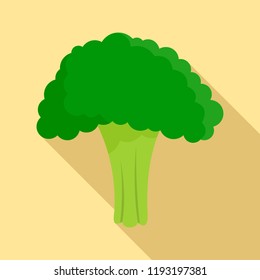 Salad broccoli icon. Flat illustration of salad broccoli vector icon for web design
