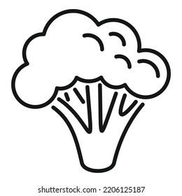 Salad brocoli icon outline vector. Vegetable broccoli. Food plant