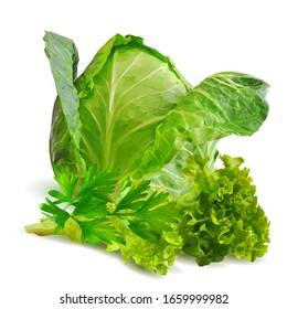 Salad and cabbage low poly. Mix salad leaves parsley and lettuce. Fresh green plant, nutritious, tasty green salad. Vector illustration. Cabbage ingredients in triangulation technique. 