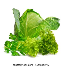 Ensalada y col baja. Mezcle las hojas de ensalada con perejil y lechuga. Planta verde fresca, ensalada verde nutritiva y sabrosa. Ilustración vectorial. Ingredientes de col en técnica de triangulación. 