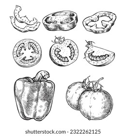 Salad. Corn salad. Lettuce, cherry tomatoes, cucumbers, peppers. Bowl food. Vector Hand Drawn. Sketch Botanical Illustration. Eco healthy food. Superfood. Pieces of tomatoes and peppers.